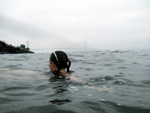 Tide and Current Taxi 2006