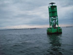 Tide and Current Taxi 2005